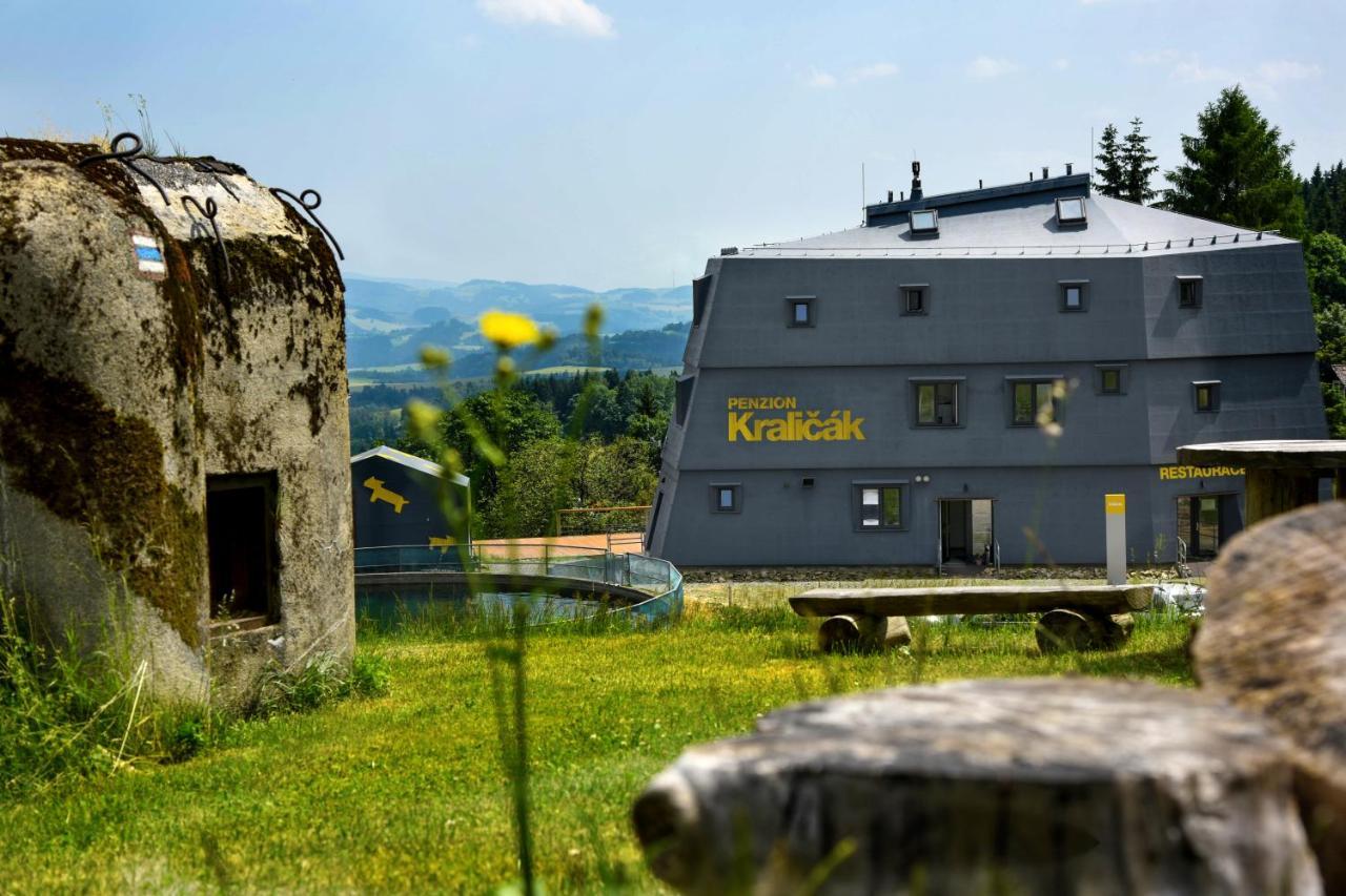 Penzion Kralicak Staré Město Bagian luar foto